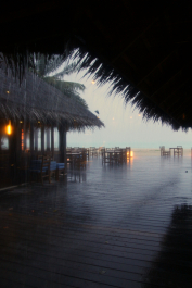 photo 1211767