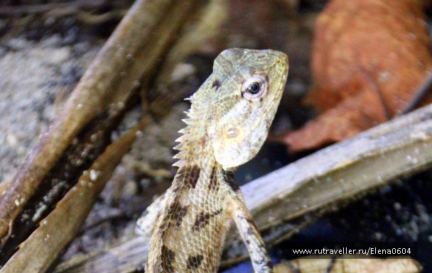 photo 1267493