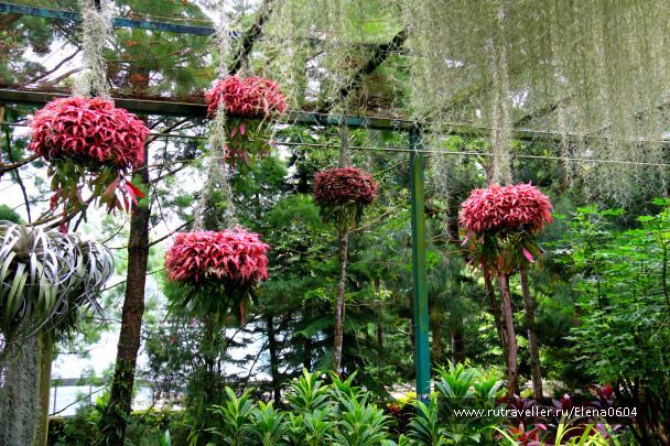 photo 1267470
