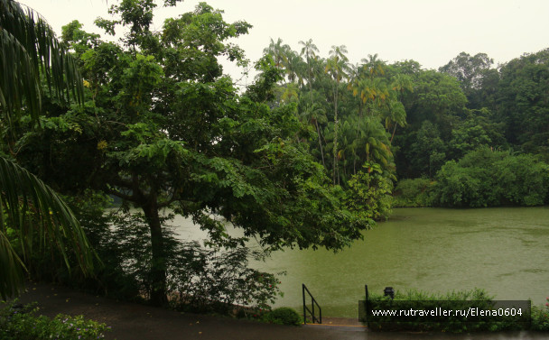 photo 1270308