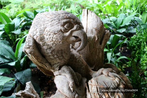 photo 1270310