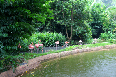 photo 1114045