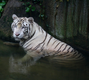 photo 1123412