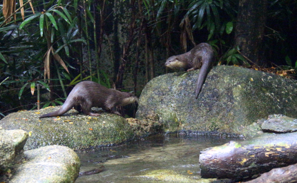 photo 1135917