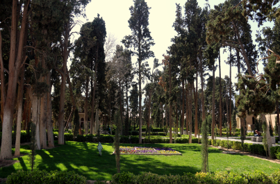 photo 1252923
