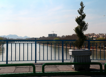 photo 1287271