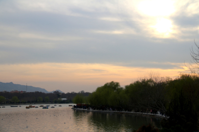 photo 1287276