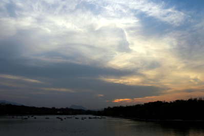 photo 1295022