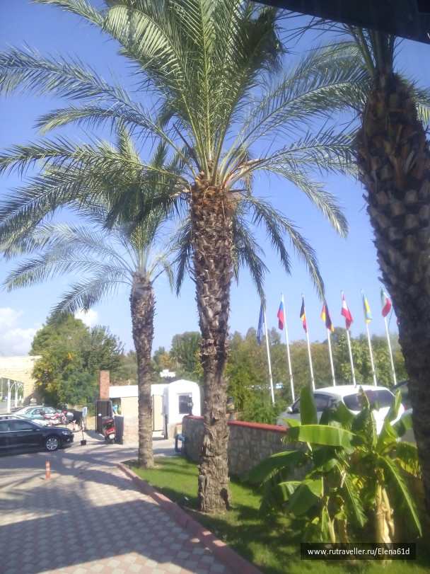 photo 1399460