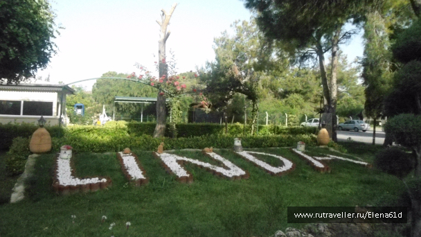 photo 1494221
