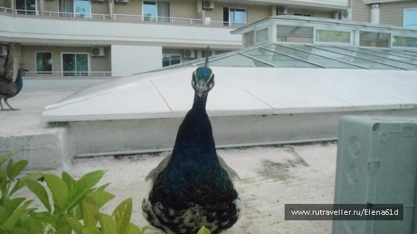 photo 1494222