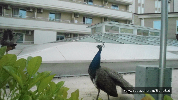 photo 1494223
