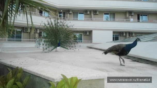 photo 1494225