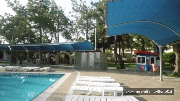 photo 1494228