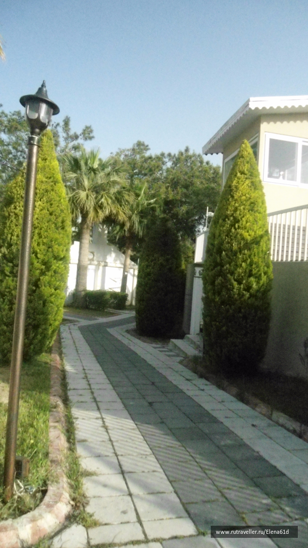 photo 1494231