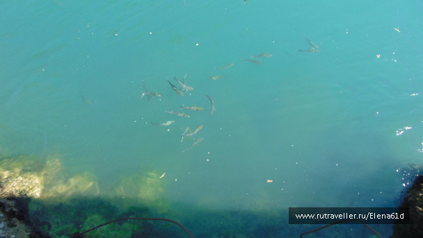 photo 1562022