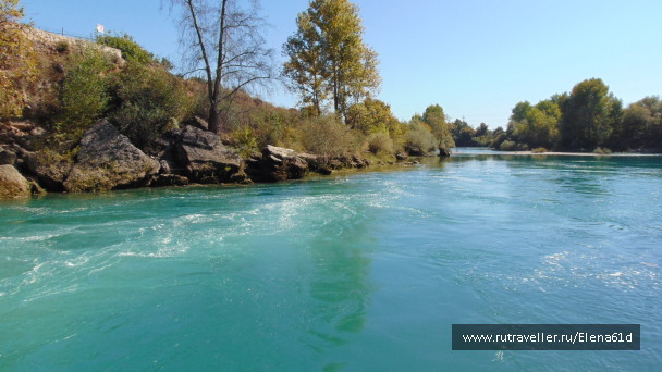 photo 1562024