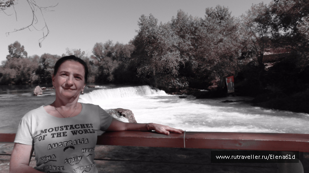 photo 1562026