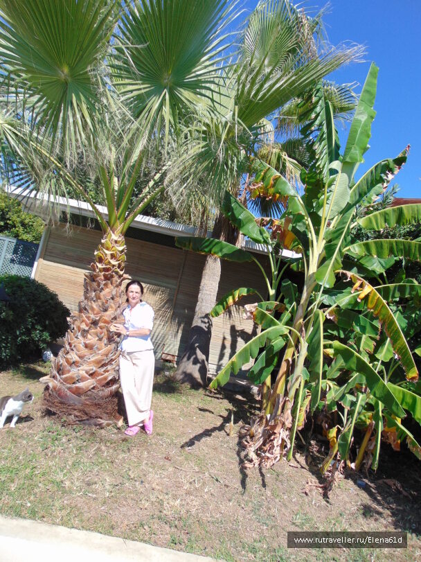 photo 1562030