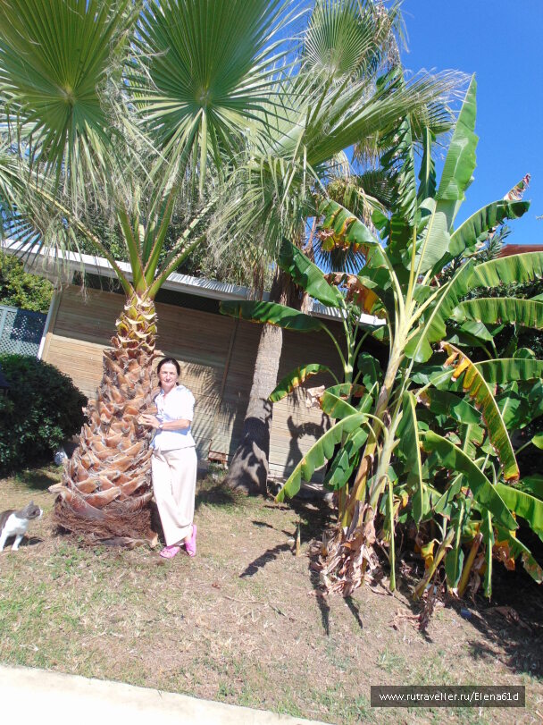 photo 1562031