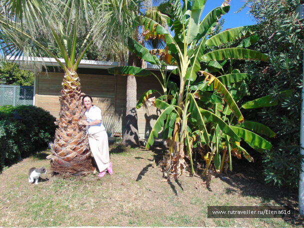 photo 1562032
