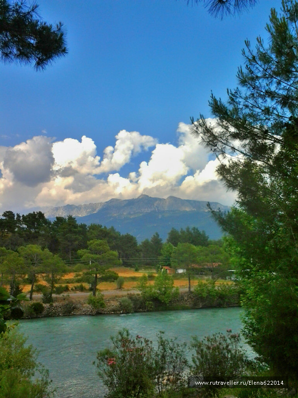 photo 1003735