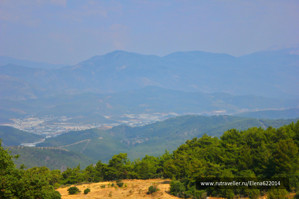 photo 1245497