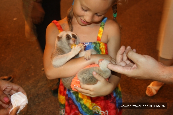 photo 741662