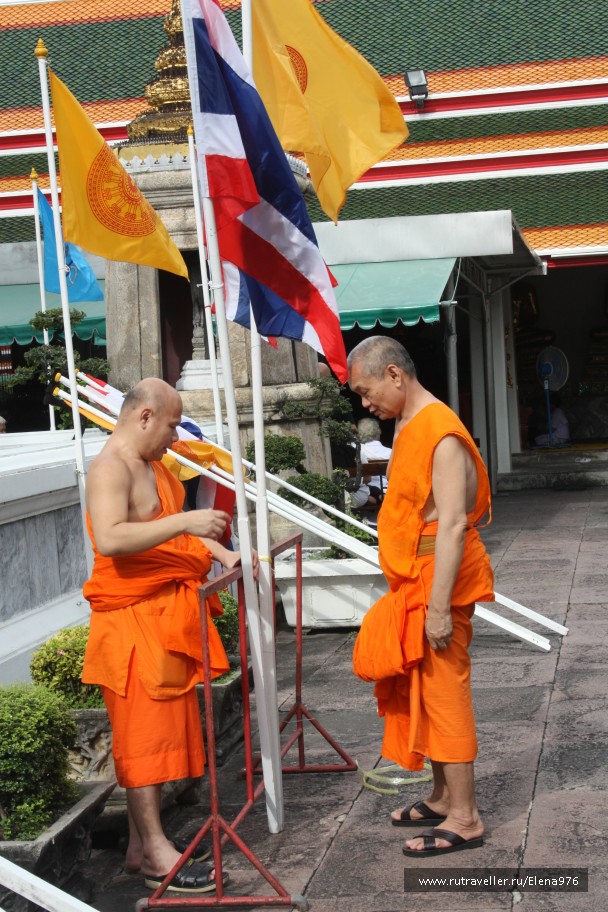 photo 741754