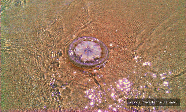 photo 1118980
