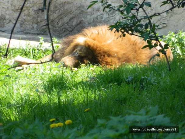 photo 125072