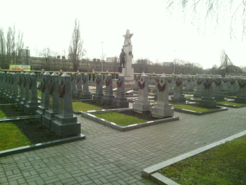 photo 1005233