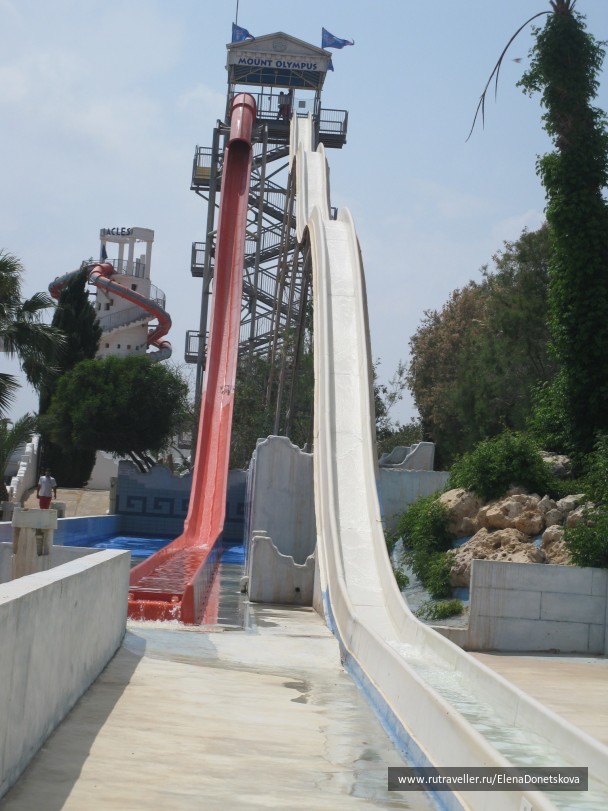 photo 21985