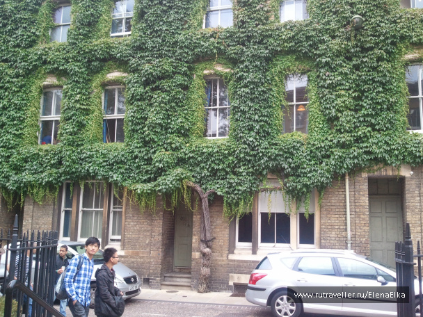 photo 189282