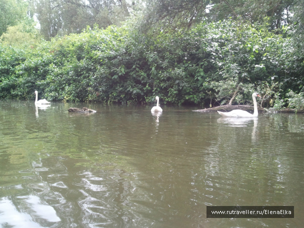 photo 189285