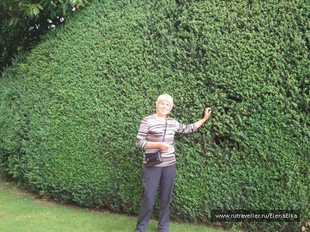 photo 189313