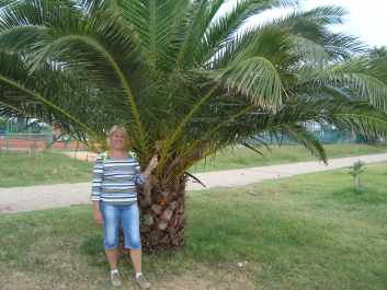 photo 1373129