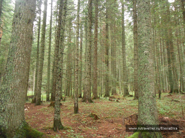 photo 1373148