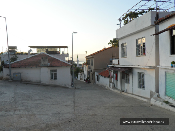 photo 513011