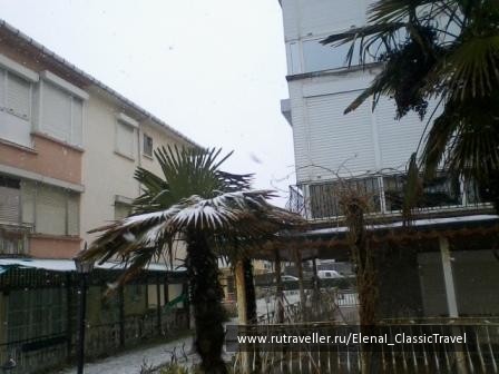 photo 231437