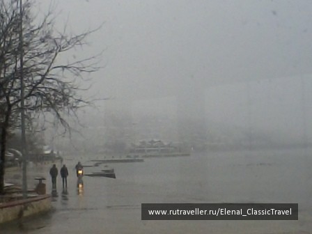 photo 231441