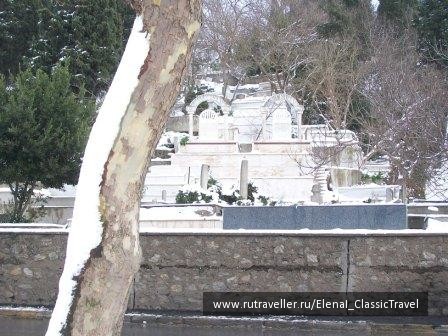photo 231451