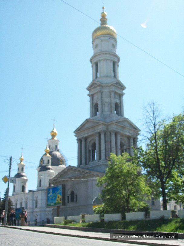 photo 241535