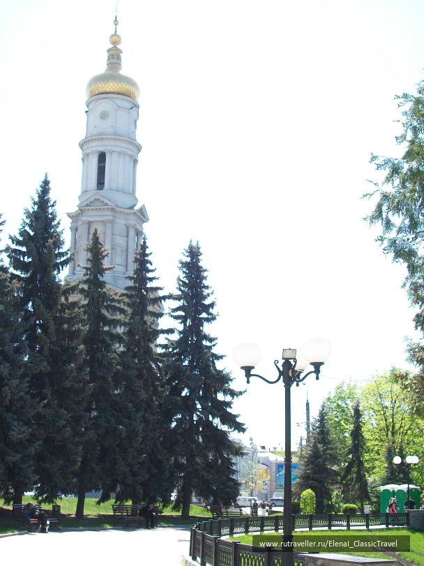 photo 241536