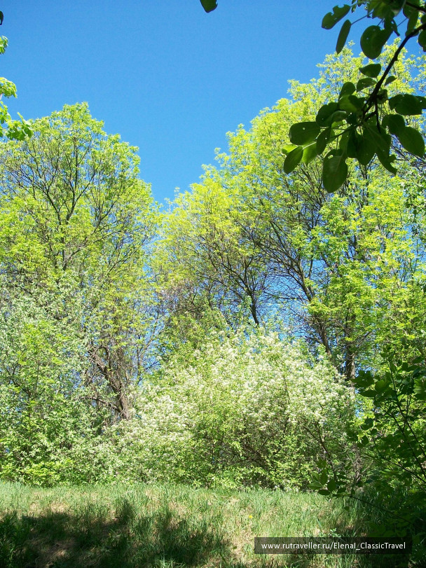 photo 241542