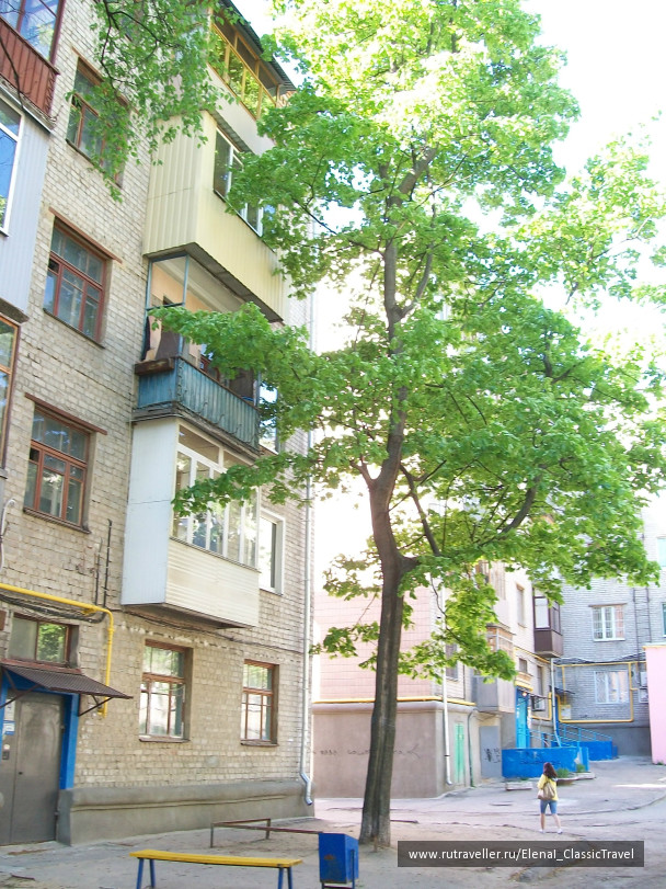 photo 241554