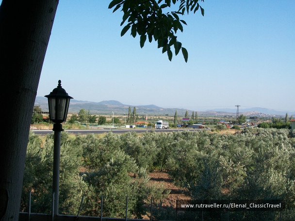 photo 246023