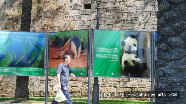 photo 497068
