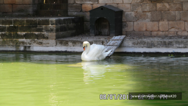 photo 497247