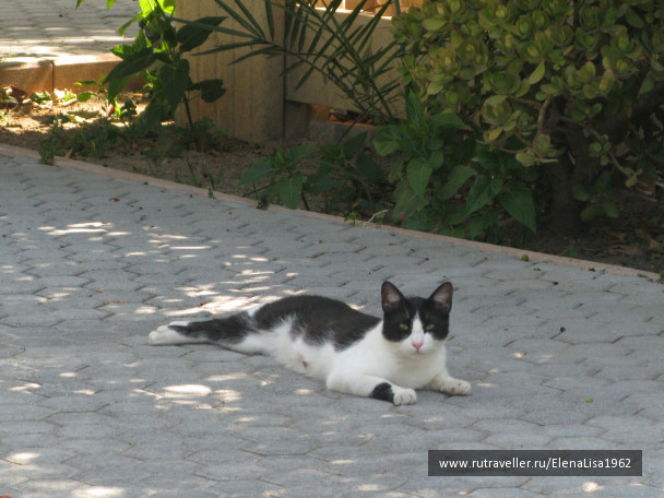 photo 98117